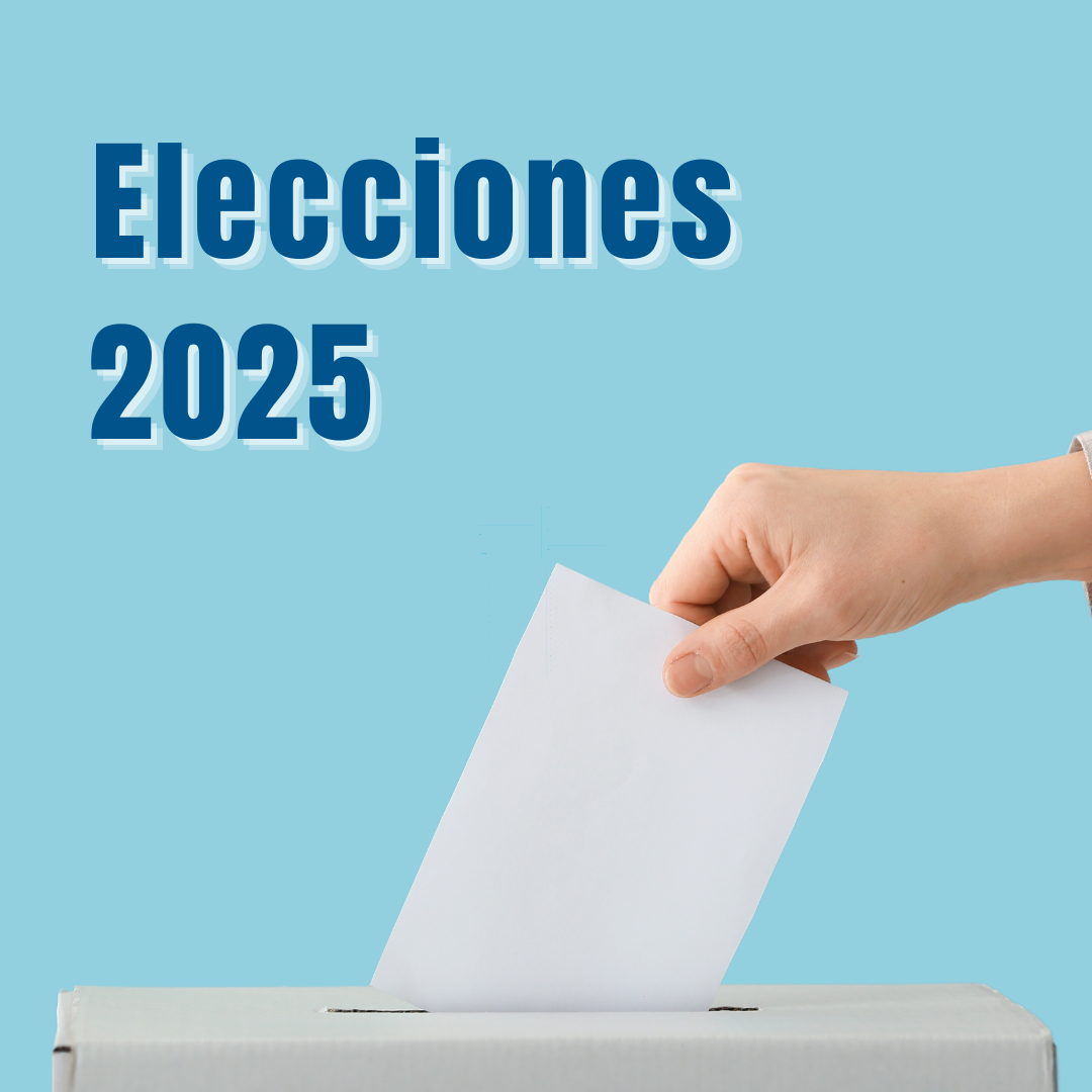 banner web elecciones 2025 (Post de Instagram)